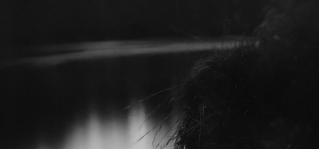 Sally Mann Sally Mann