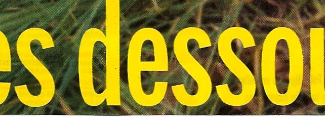 Les dessous